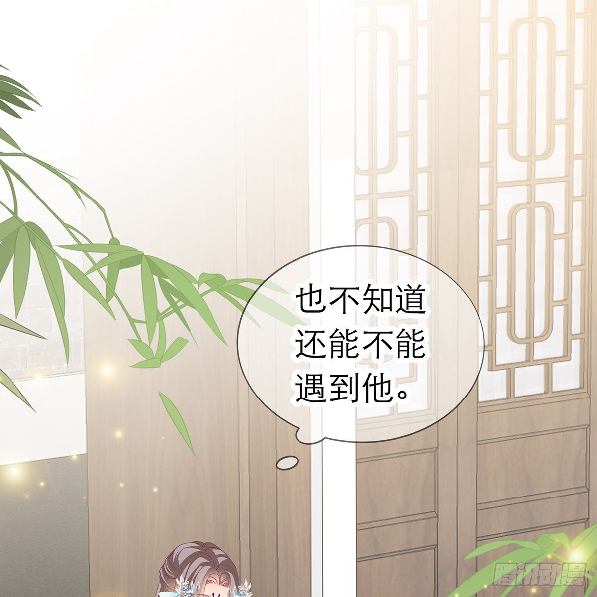 温暖的小武26