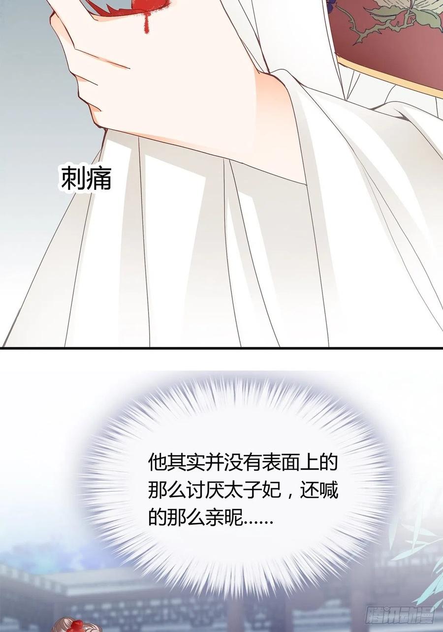 你在担心太子妃？33