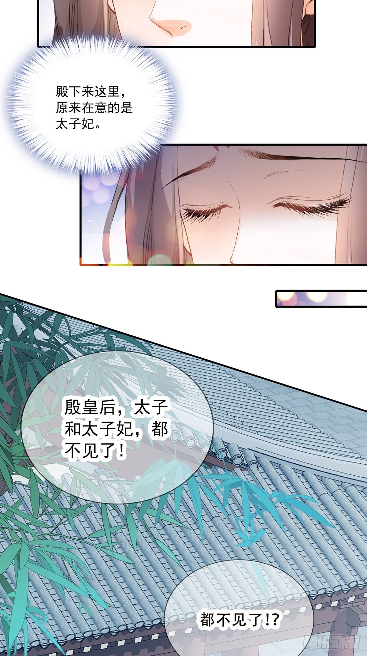 挂念太子妃20