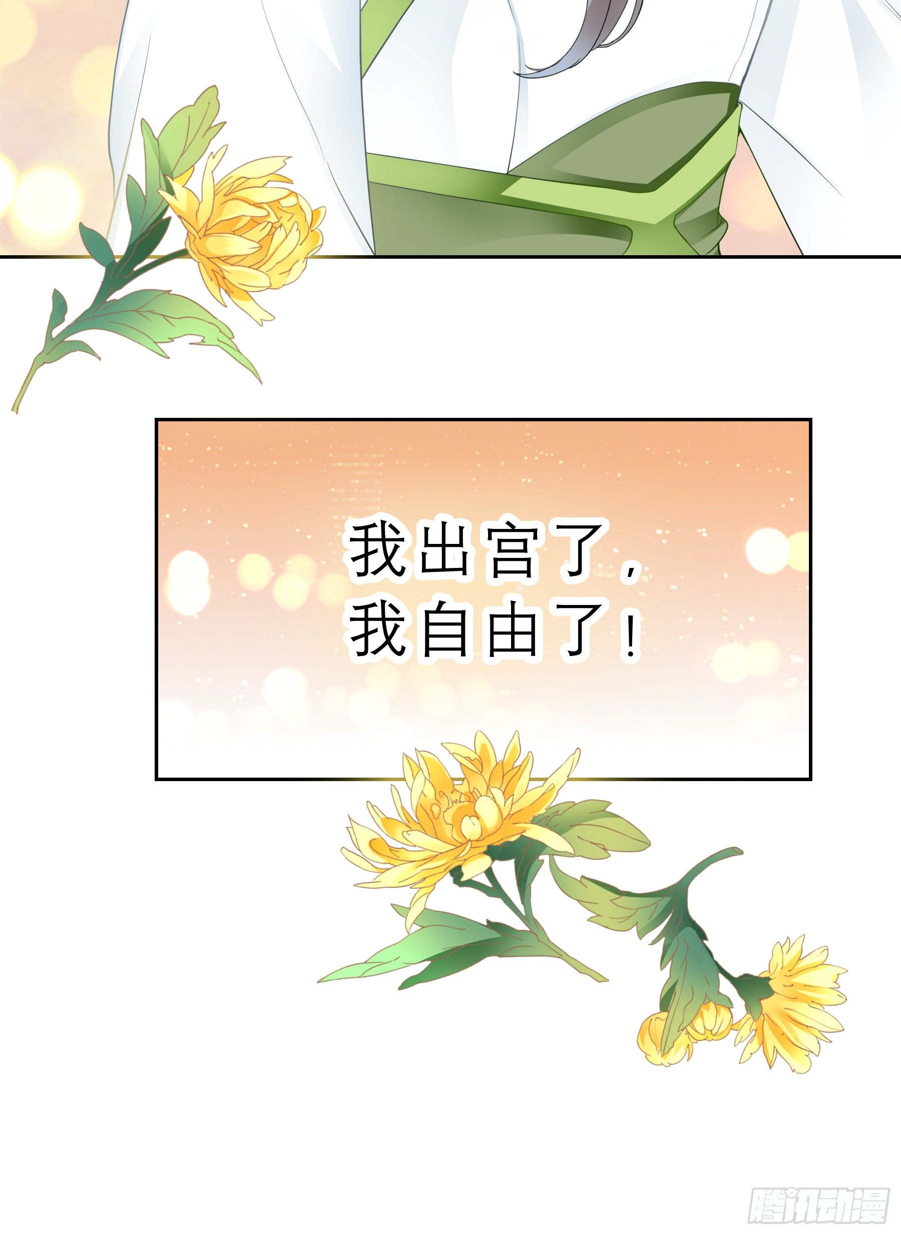 我自由了29