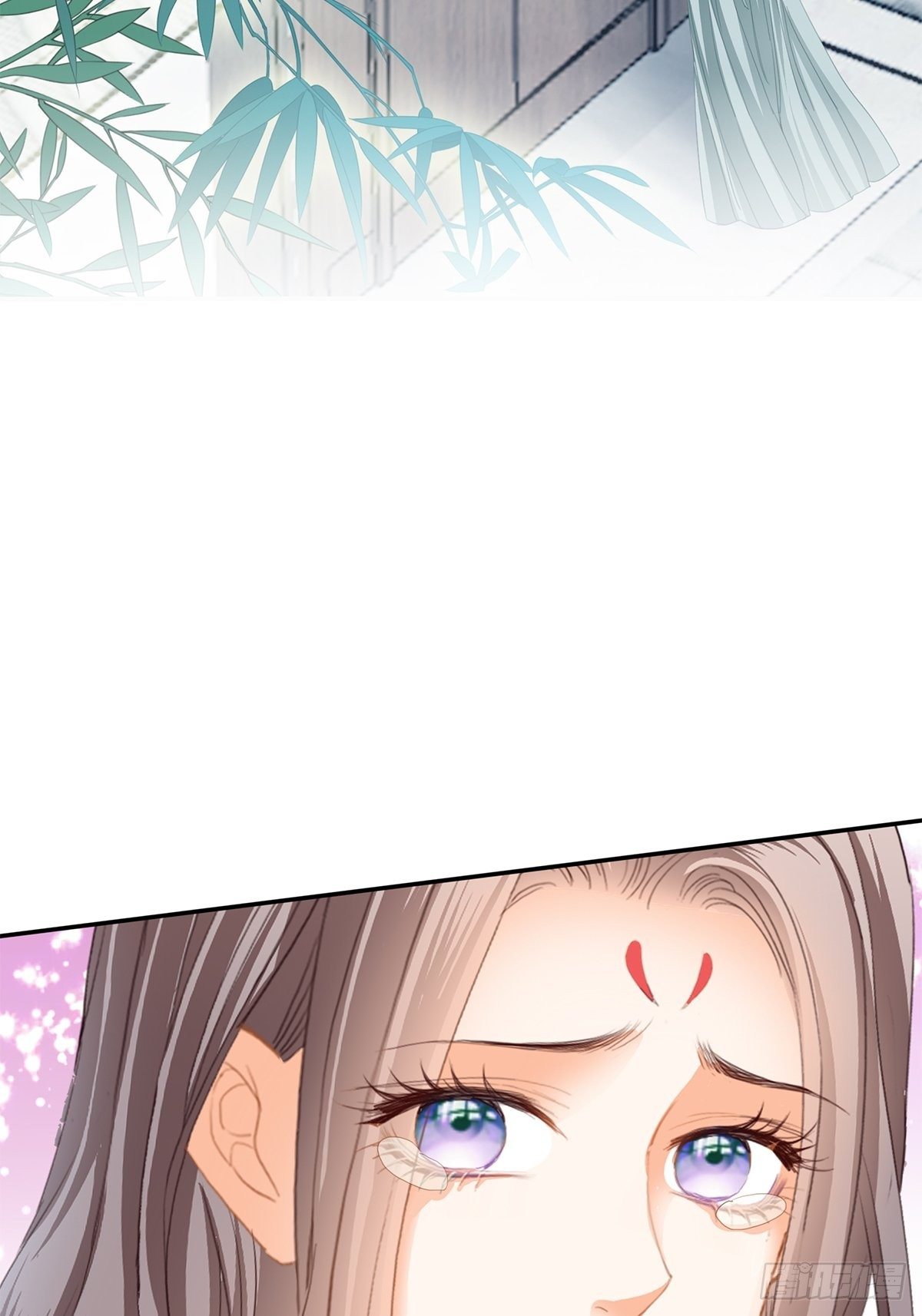 探望6