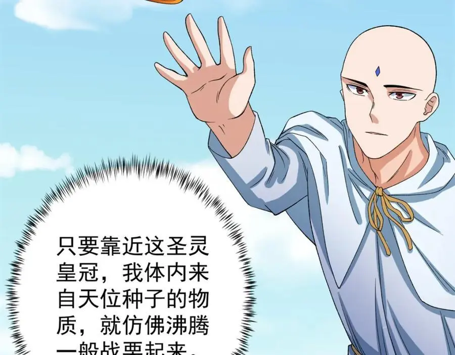 242 圣灵皇s冠50