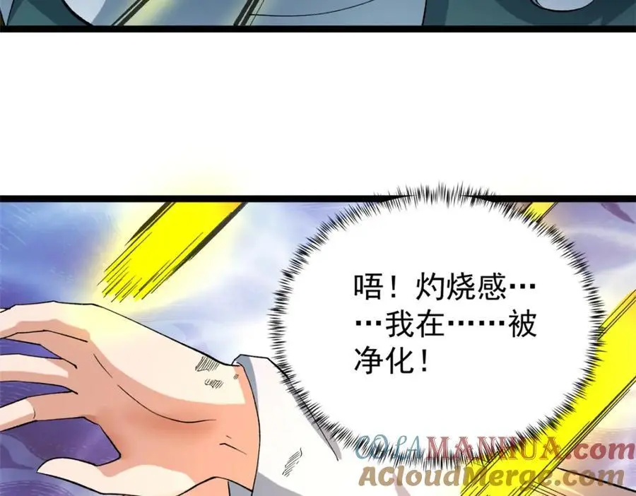 242 圣灵皇s冠30