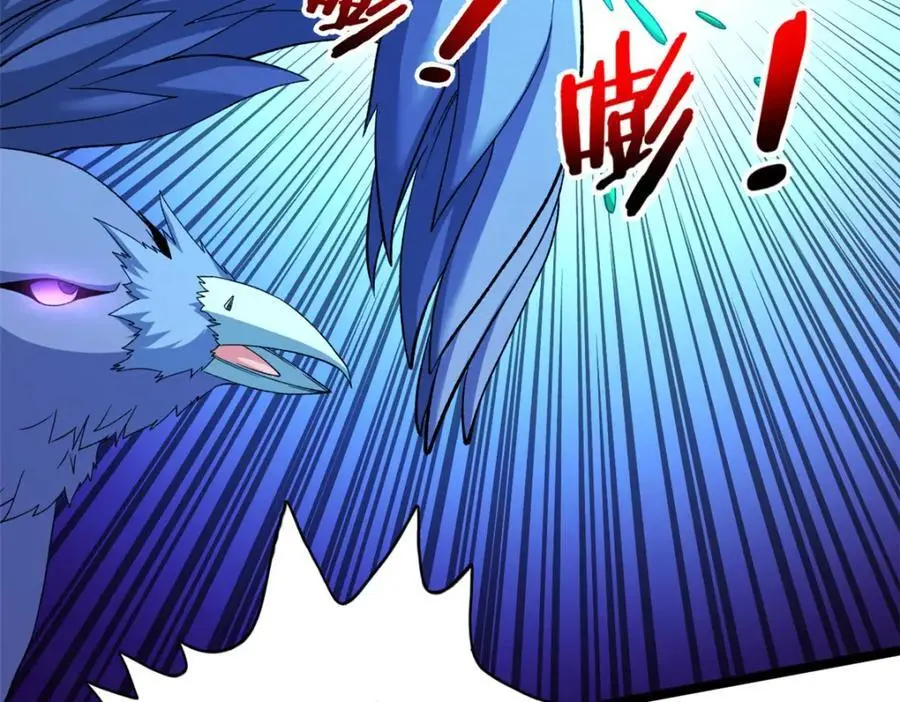 247 强者云集37