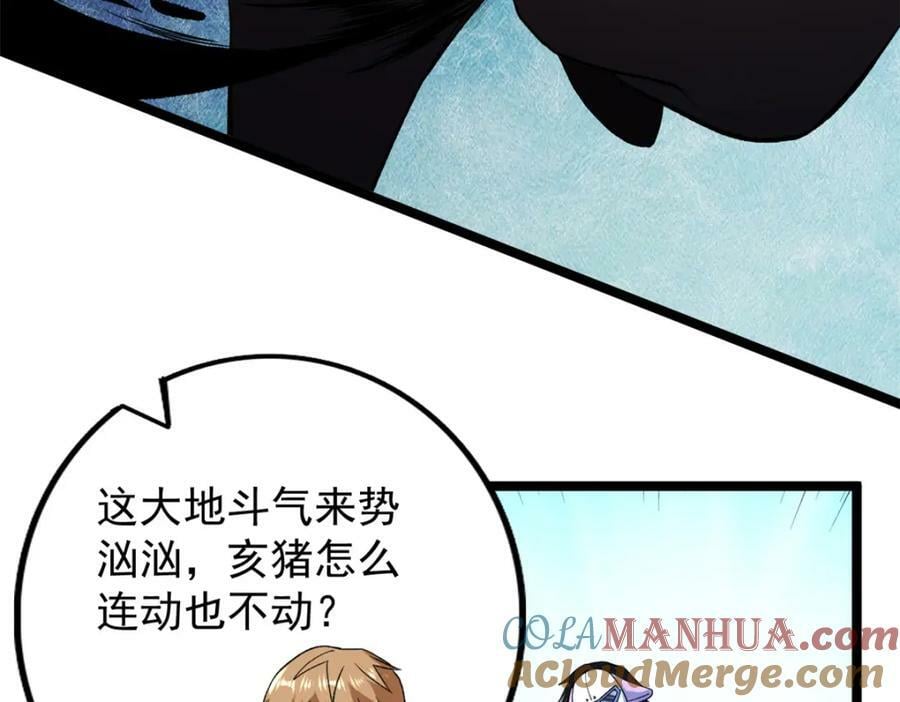 205 庆功直播9