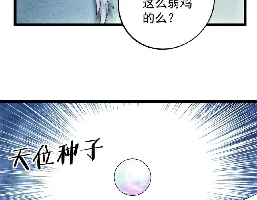 238 种子到手17
