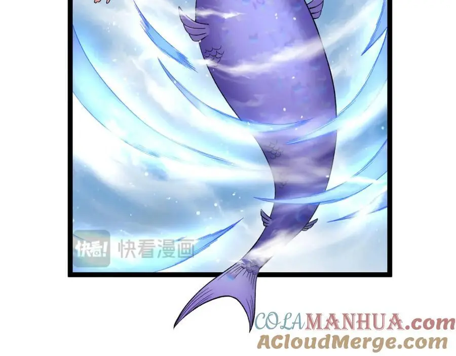 238 种子到手66