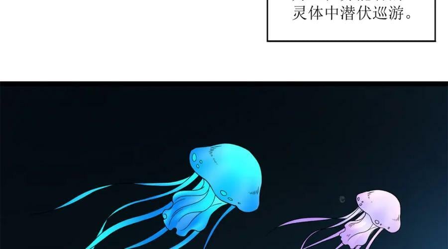 204 人族必胜53