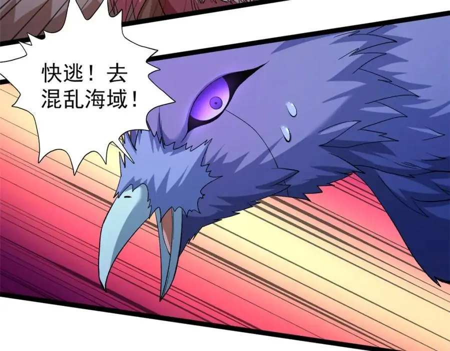 247 强者云集49