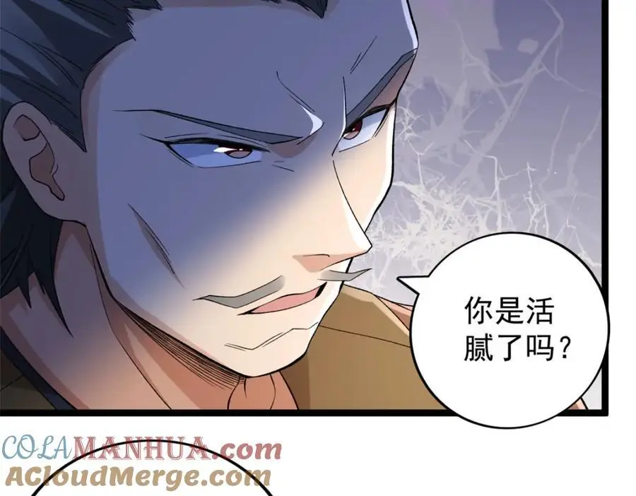 238 种子到手36