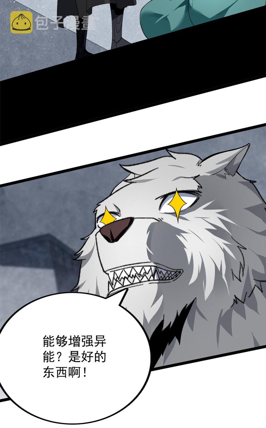 19 狼人变身22