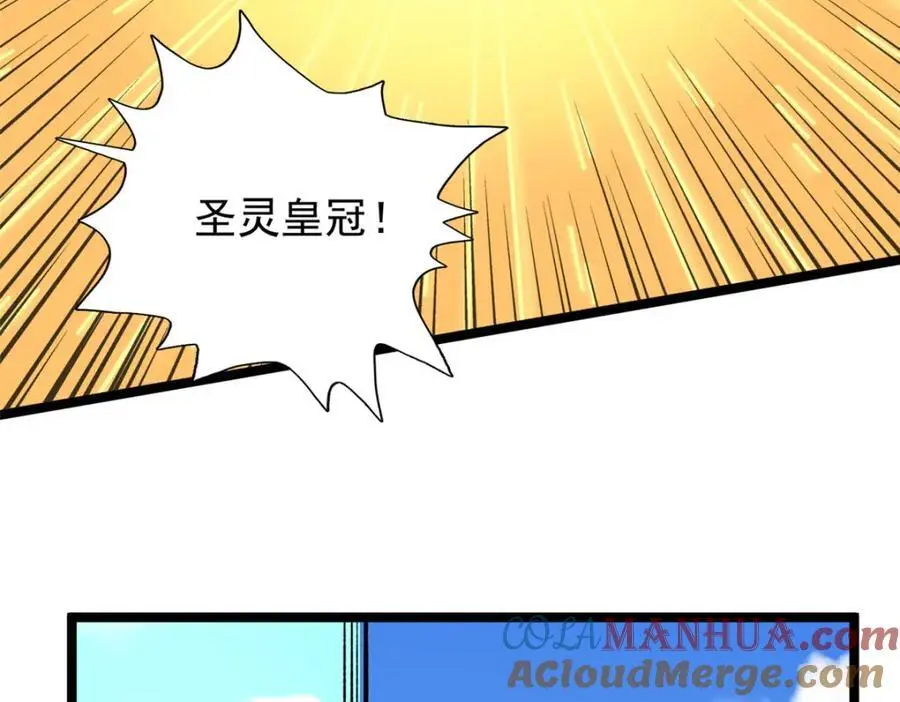 242 圣灵皇s冠18