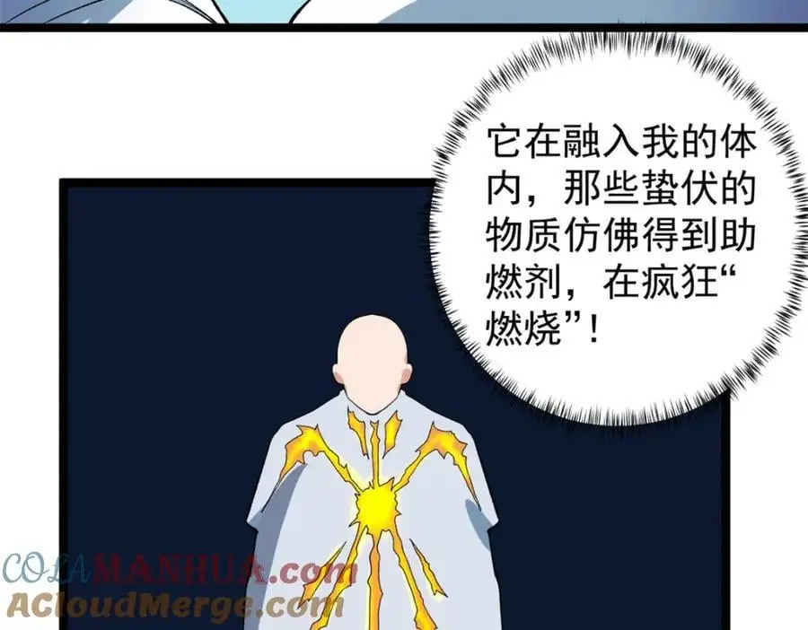 242 圣灵皇s冠66