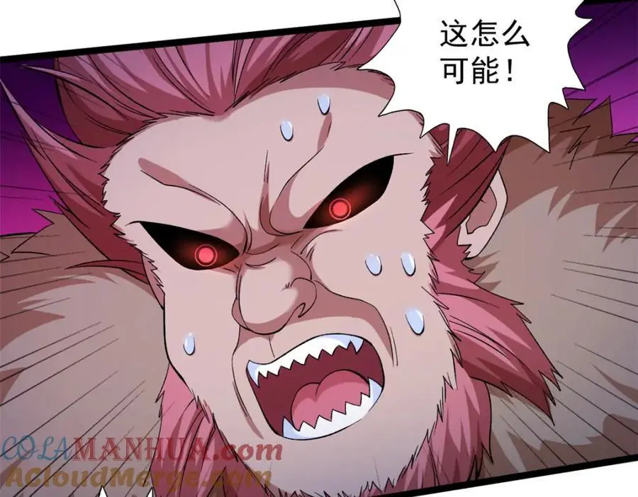247 强者云集48