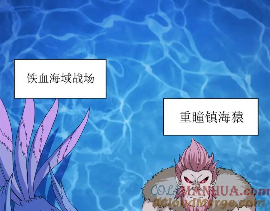 247 强者云集30