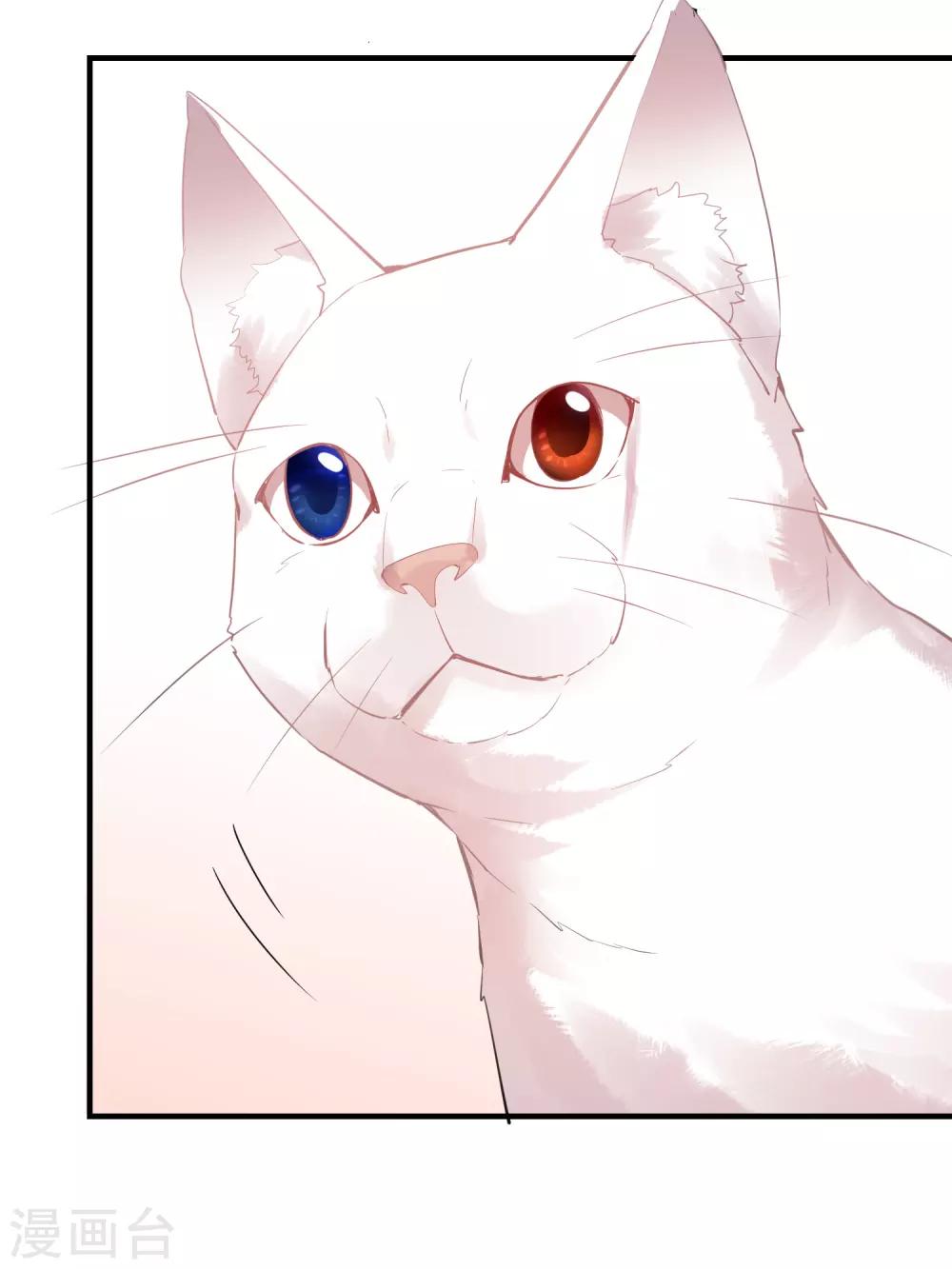 第44话 白虎降临33