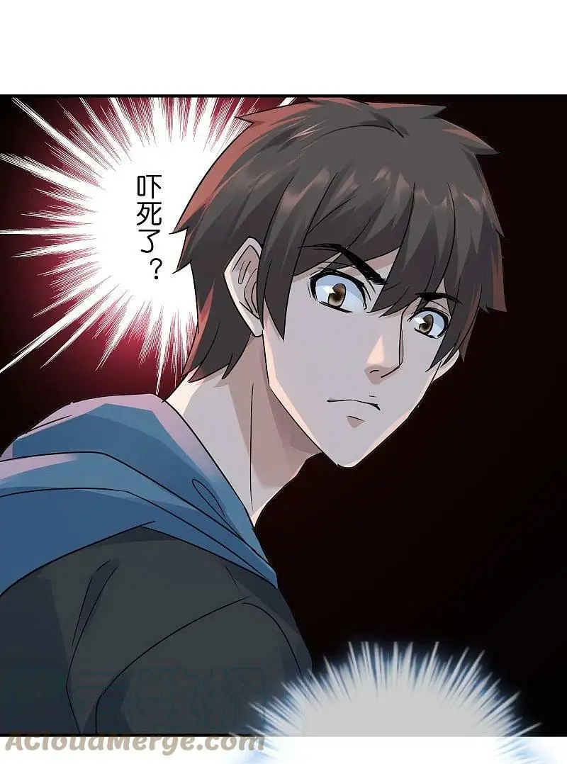 第204话 真面目6