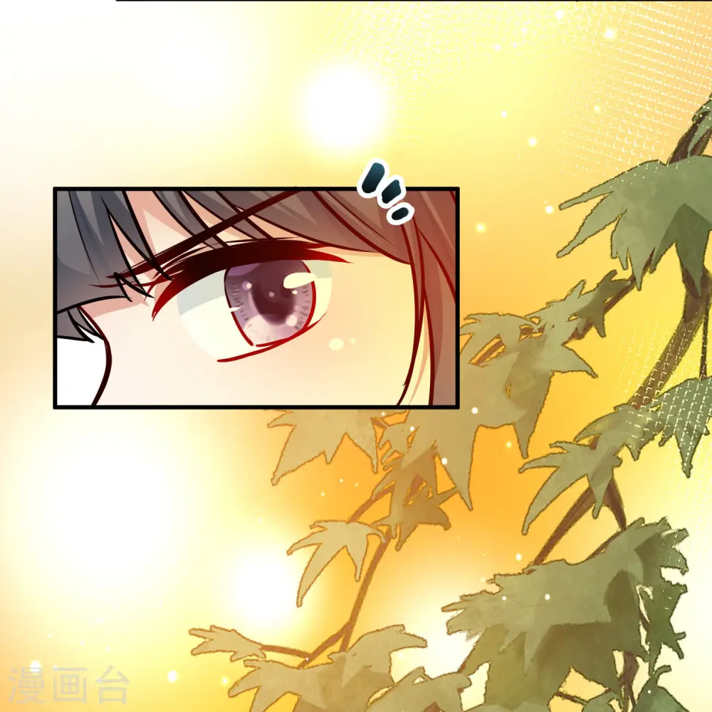 第2季第221话 驸马的生辰225
