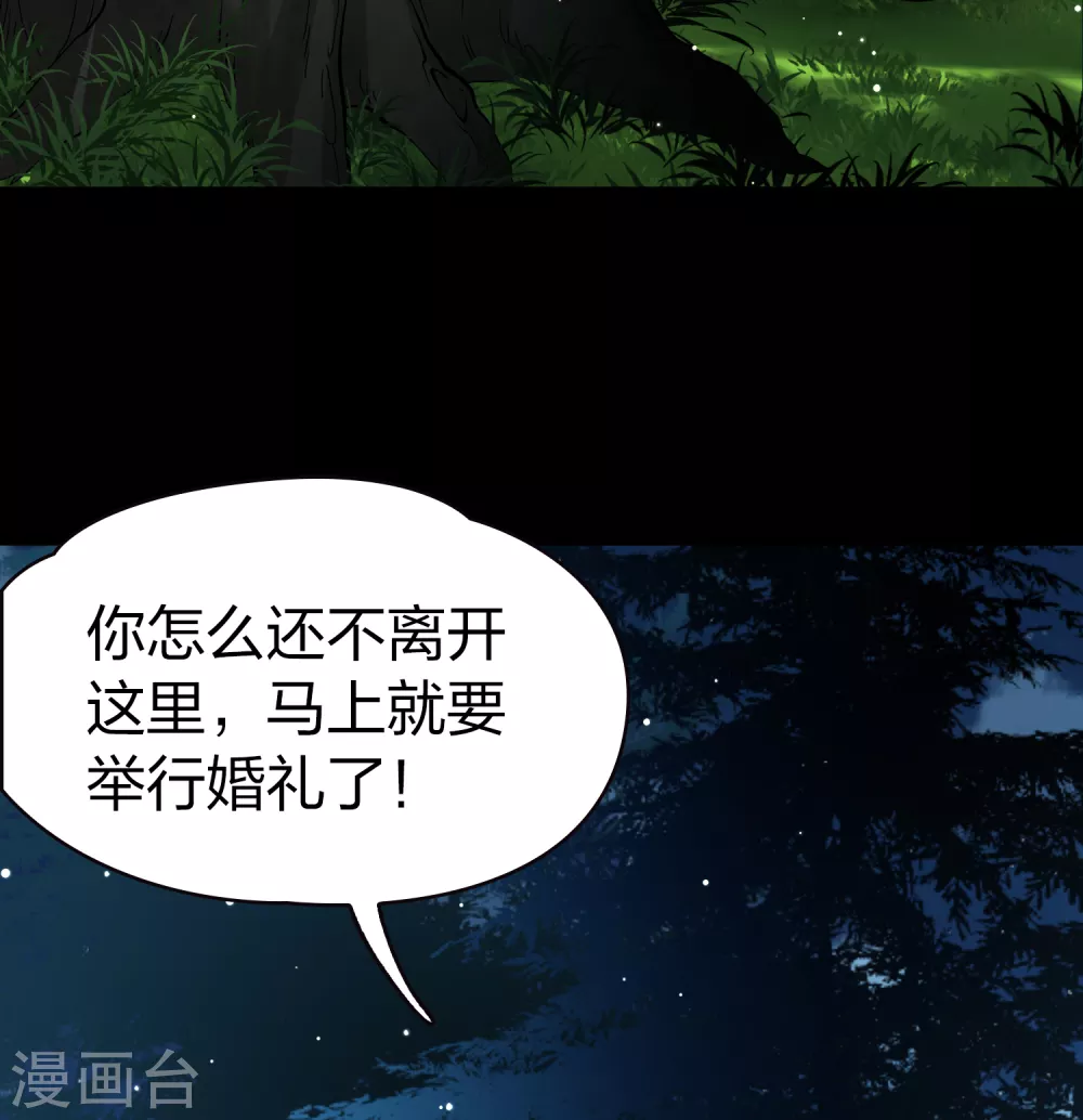第2季第51话 神秘的吟唱诗人14