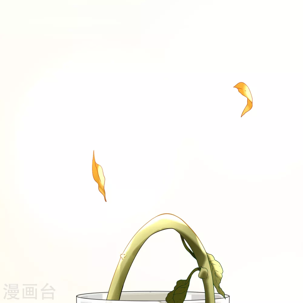 第2季第133话 向日葵花语551