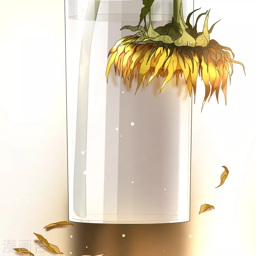 第2季第133话 向日葵花语552