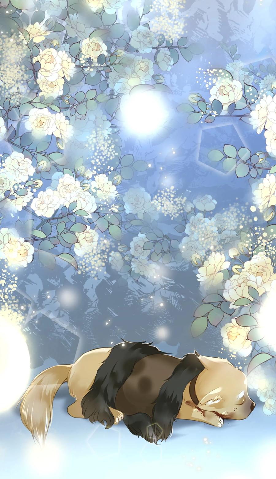041 血仇17
