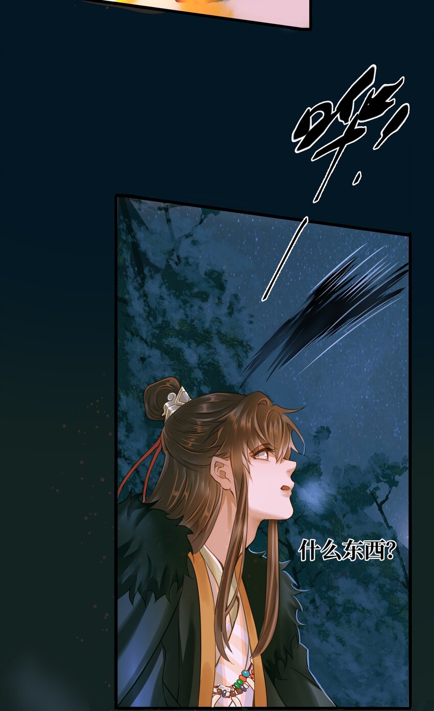 073 狼群12