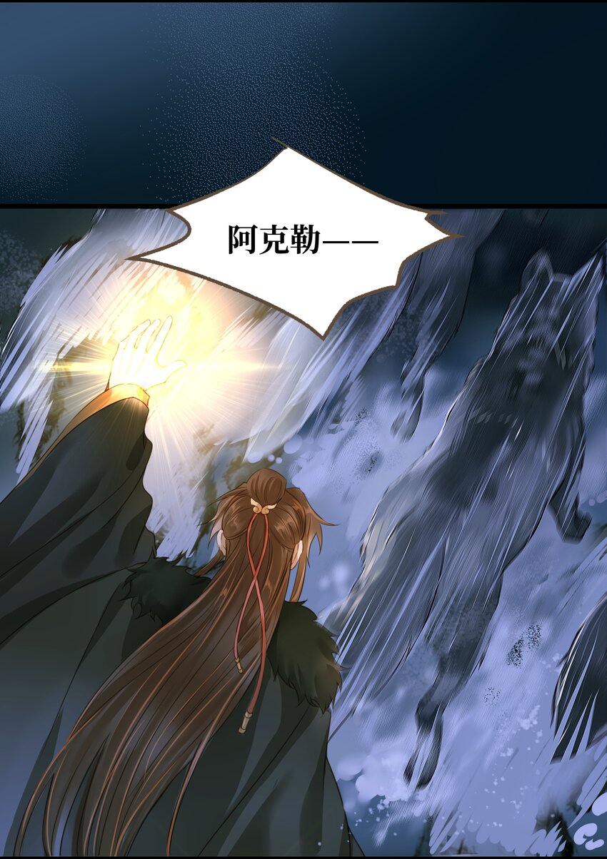 073 狼群19