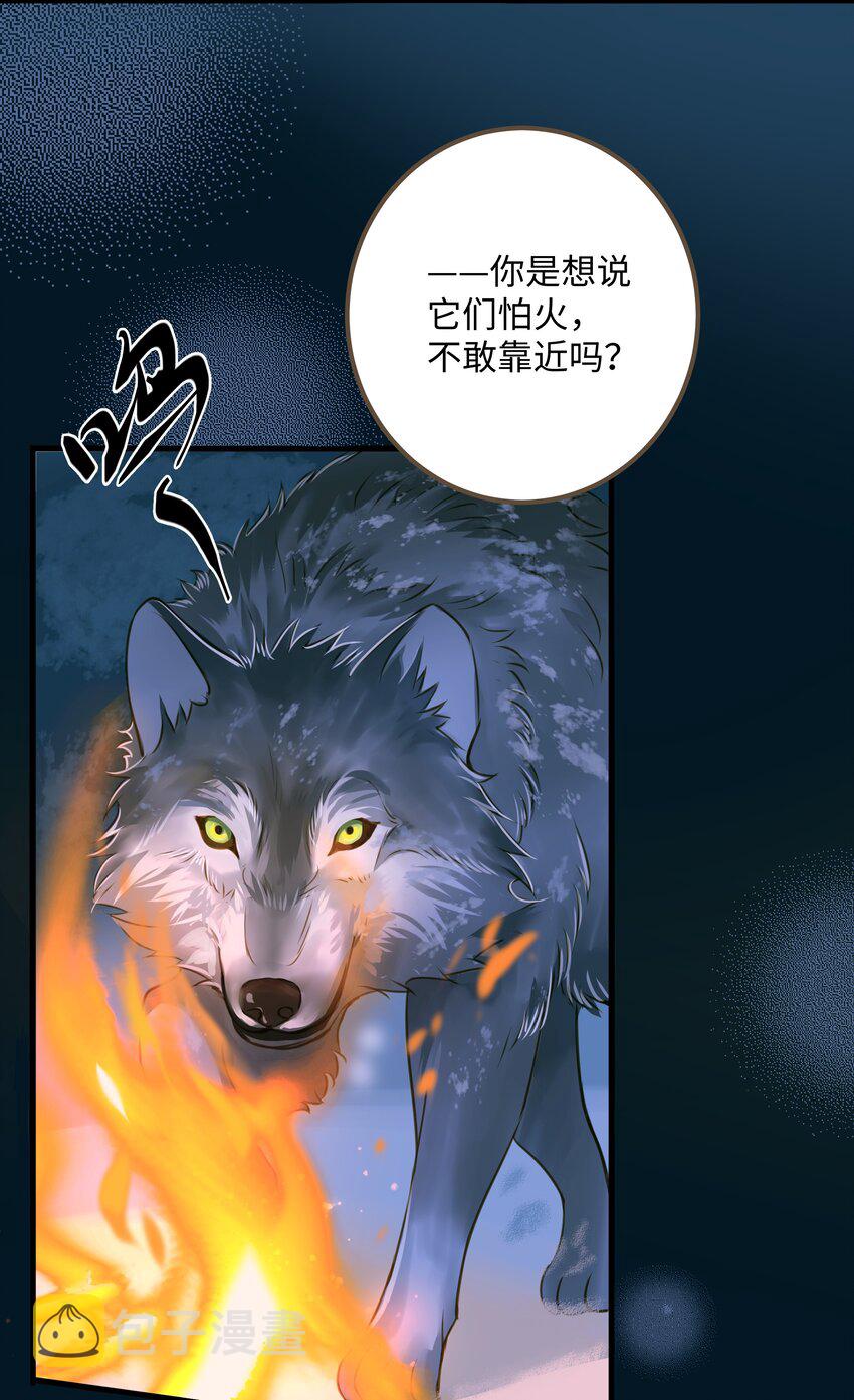 073 狼群11