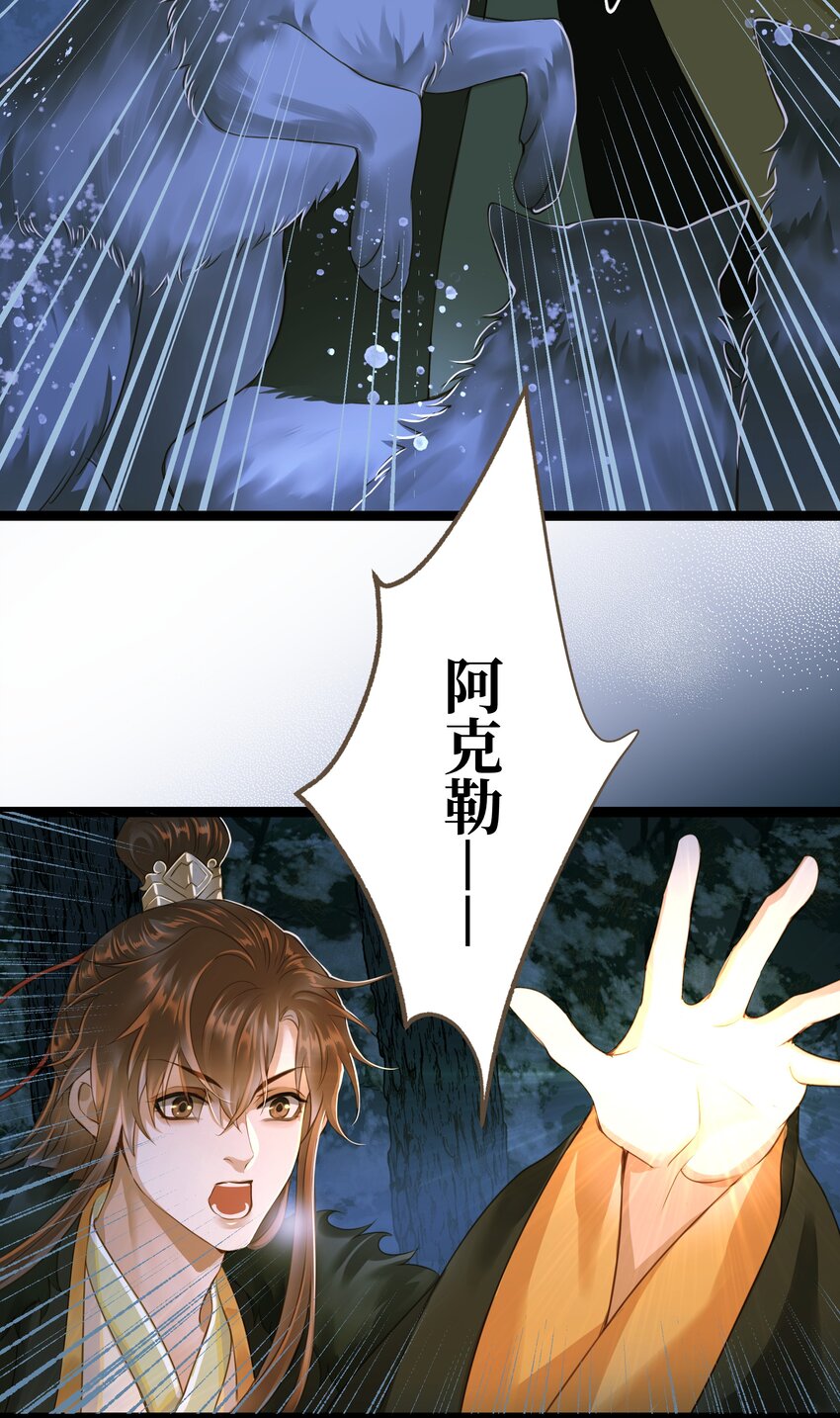 073 狼群17
