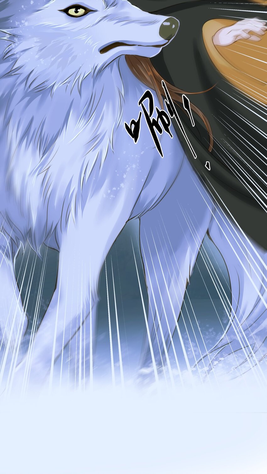078 肖山25