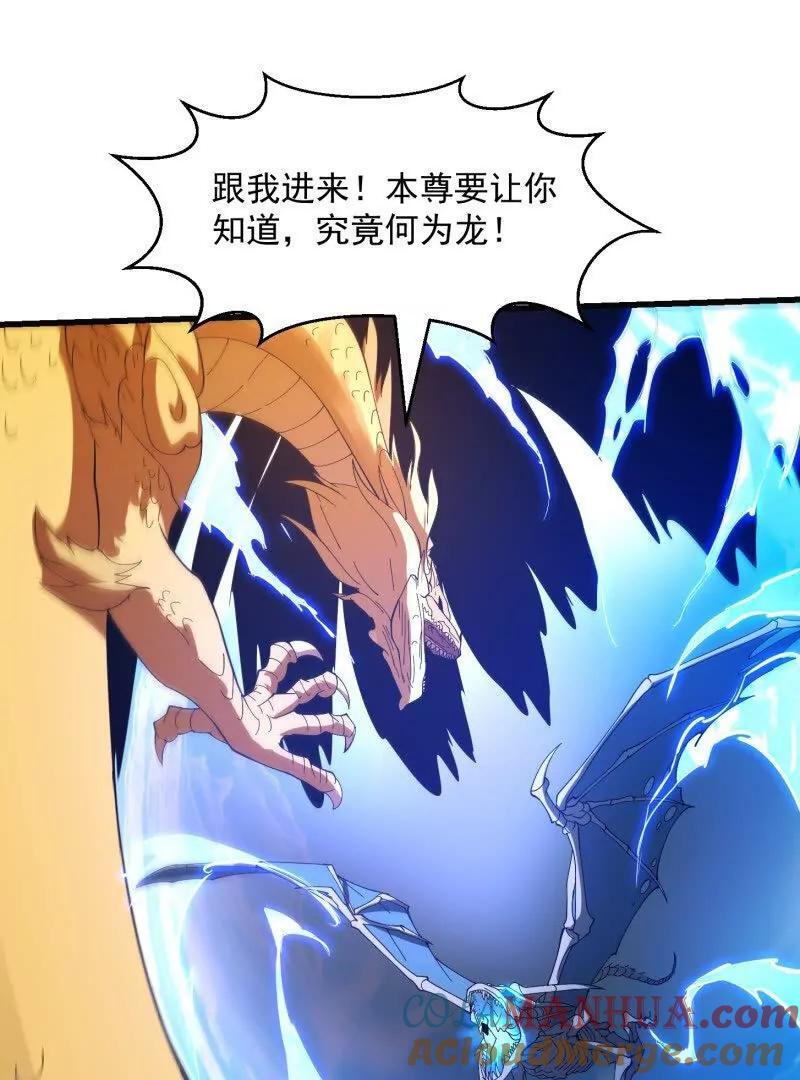 第372话 龙战69