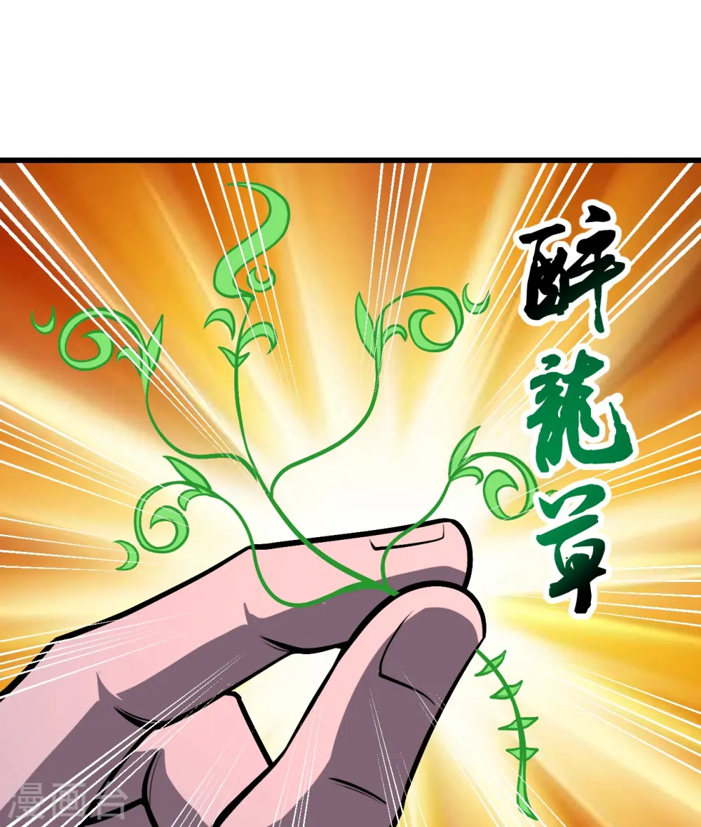 第313话 醉龙草9