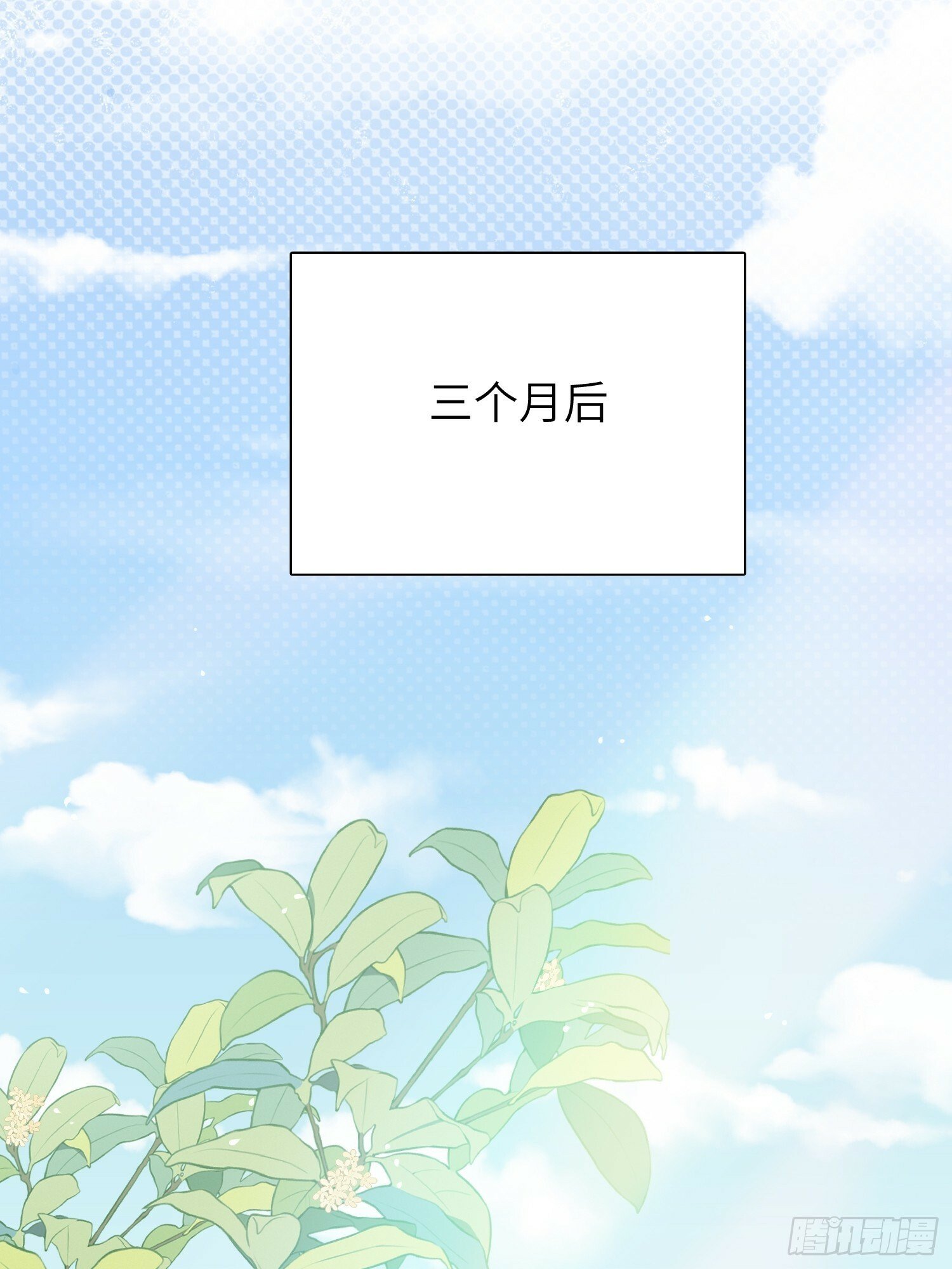 第71话，解约24
