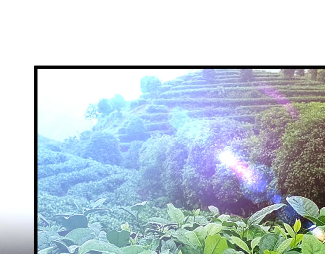 第56话 医术高明37