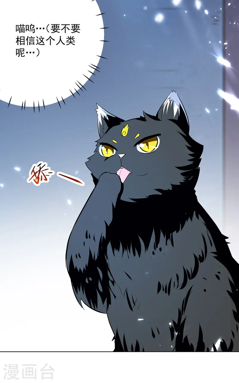 第149话 收服小猫咪18