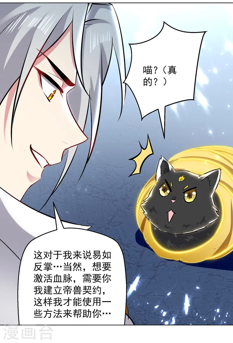 第149话 收服小猫咪13