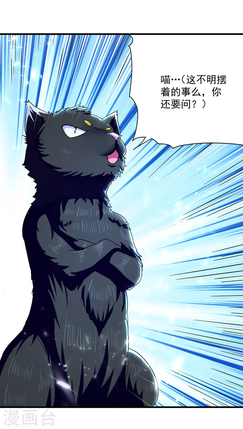 第149话 收服小猫咪1
