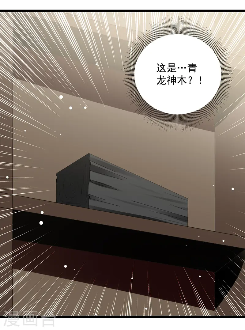 第115话 青龙神木6