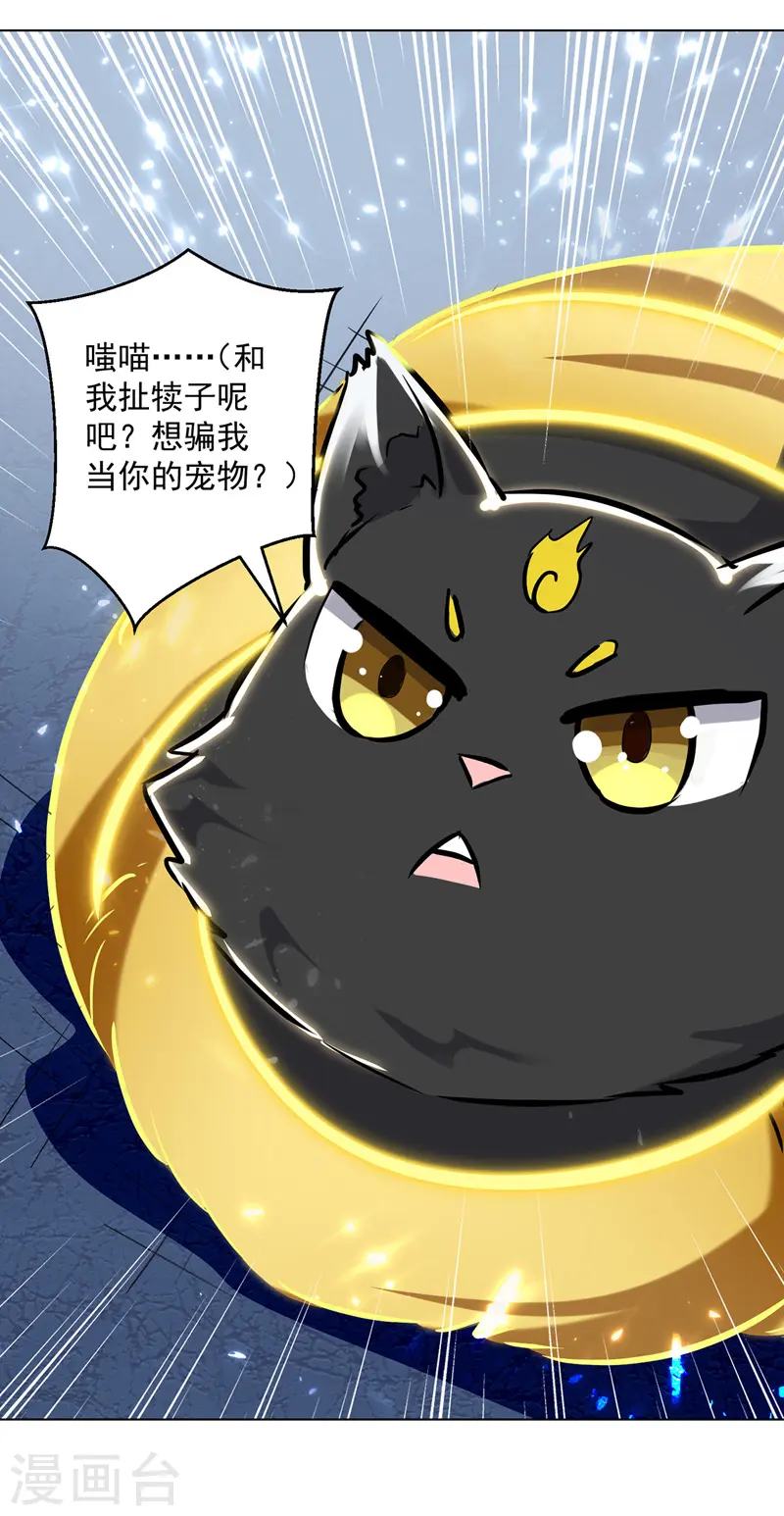 第149话 收服小猫咪14