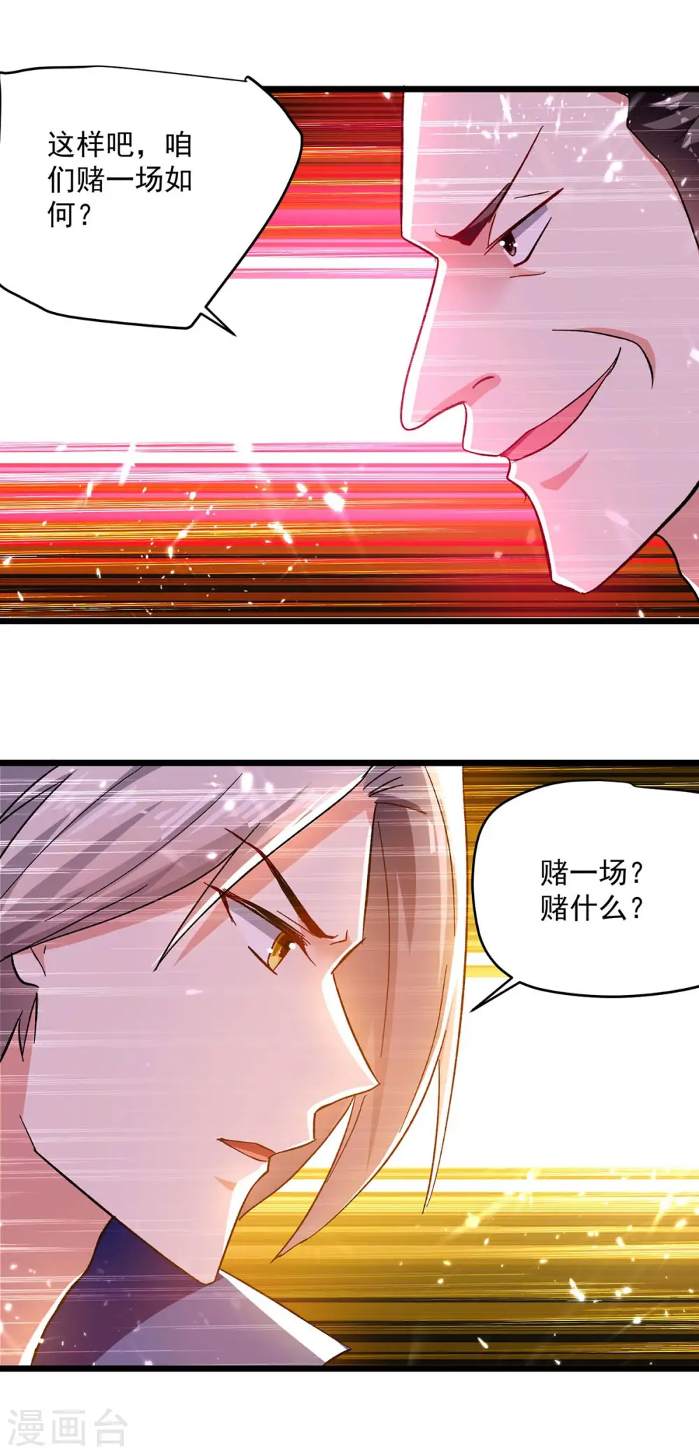 第207话 赌注5