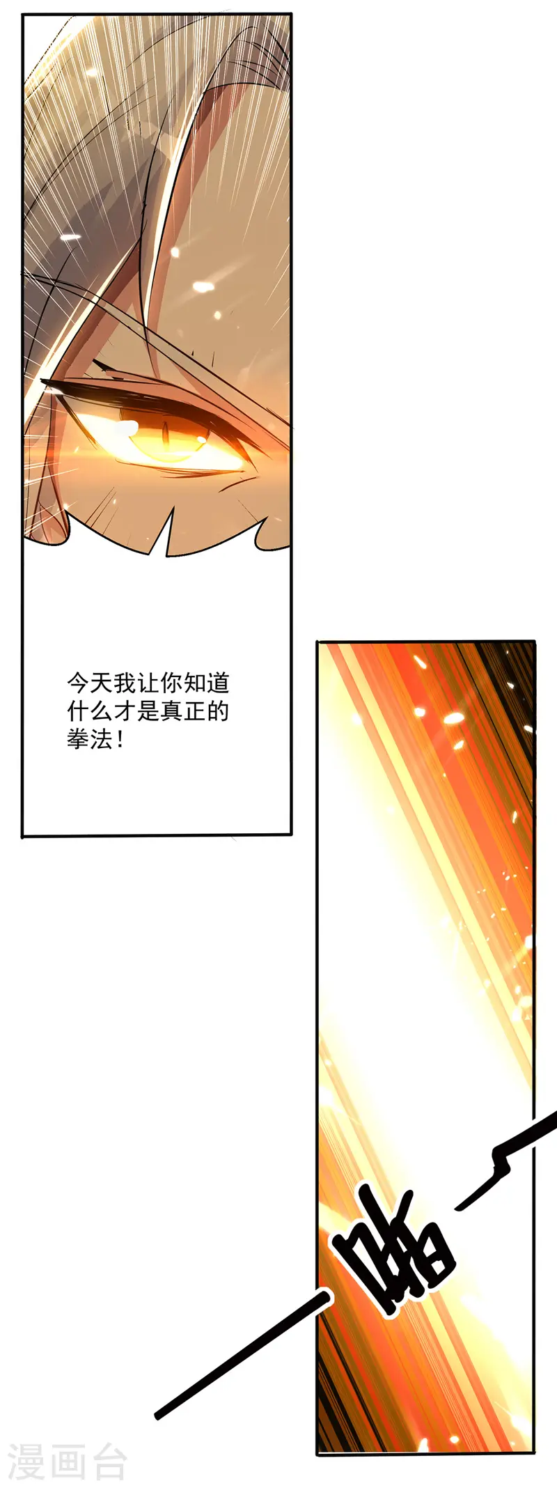 第132话 一拳定音11