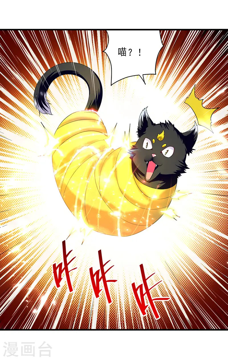 第149话 收服小猫咪7