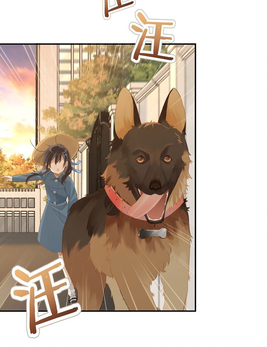 第53话 出轨自有天收13