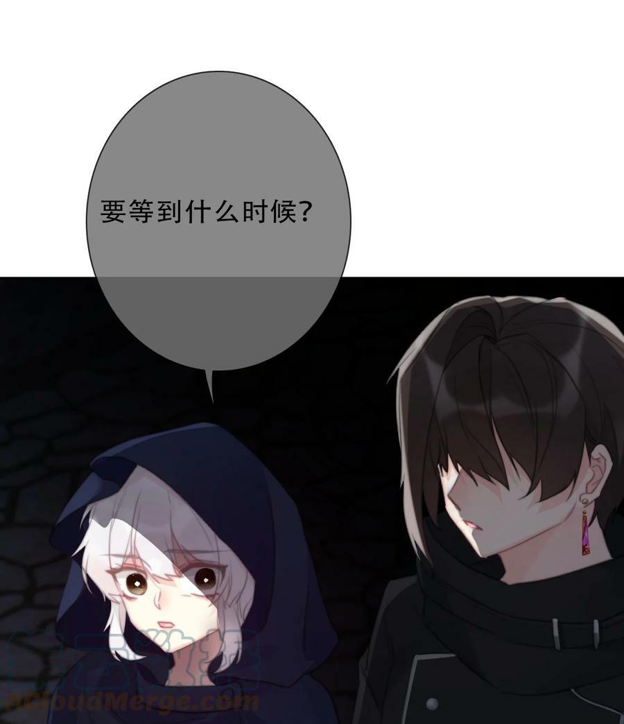 116 宴会仪式33