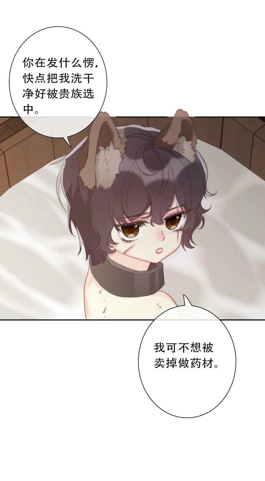116 宴会仪式19