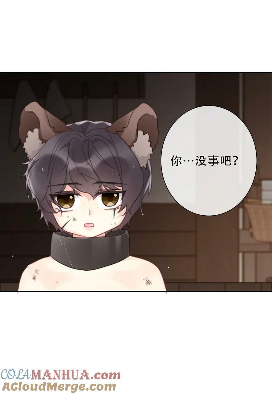 117 突袭拍卖会21