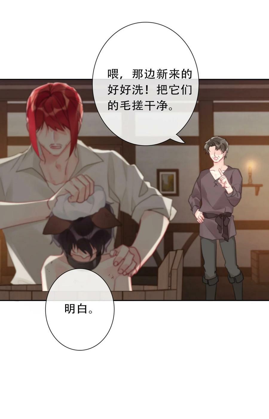 116 宴会仪式13