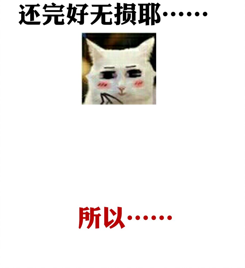 060 不会再逃了56