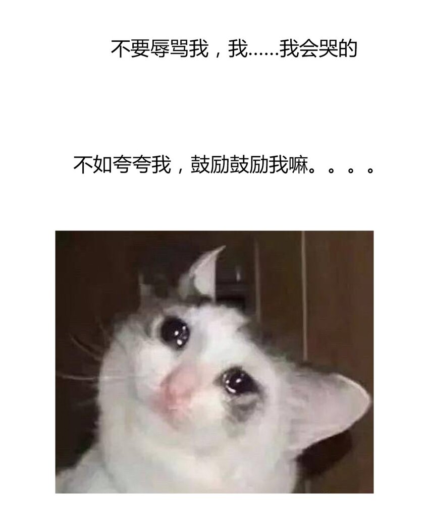 019 都是假的36